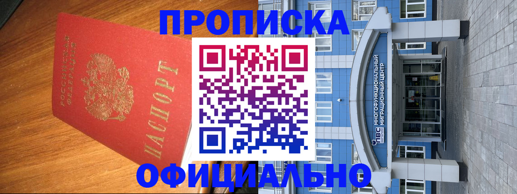 временная регистрация для школы в Ковылкино
